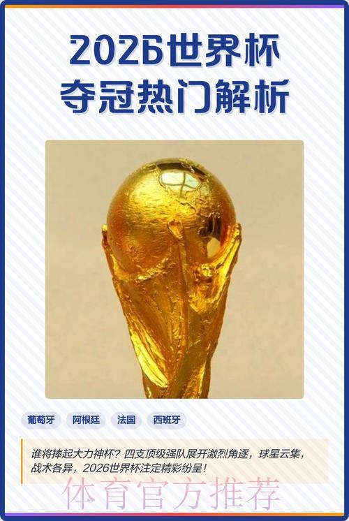 世界杯夺冠热门球队深度解析与投注指南